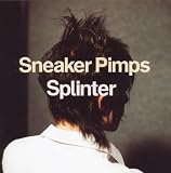 Splinter