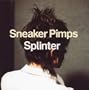Splinter