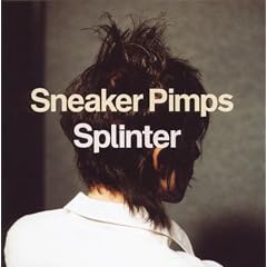 Splinter