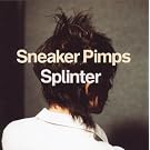 Splinter