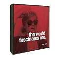 Andy Warhols "The World Fascinates Me" - 10x10"