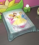 DISNEY PRINCESS TWIN SIZE SUPER SOFT BLANKET BELL CINDERELLA AURORA SLEEPIN ....