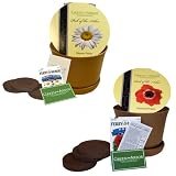 51kijIs9iDL. SL160  Oriental Poppy Seeds
