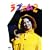 �\�t�B�[�E�}���\�[ �u���E�u�[��2�v [DVD]