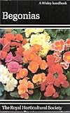 Begonias