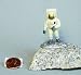 Furuta NASA #6 Space Apollo Astronaut Buzz Aldrin model Russian American Space Exploration Collectible (Original from The Best Moment @ Amazon)
