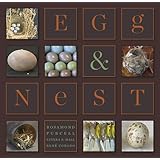 Egg & Nest