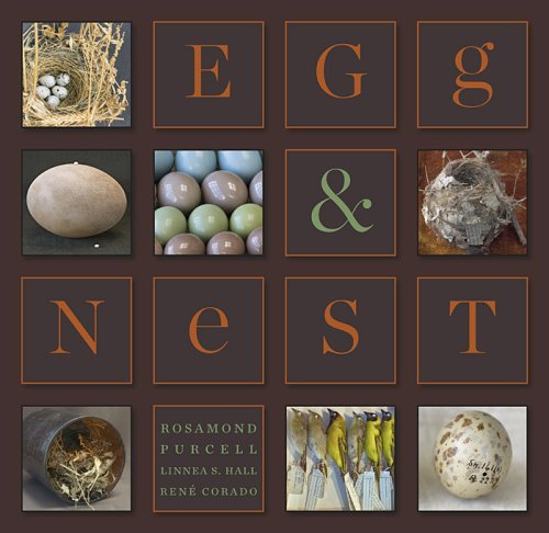 City Travel Guides Discounted  Books : Egg & Nest
