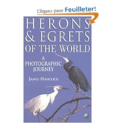Herons and Egrets of the World: A Photographic Journey