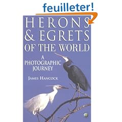 Herons and Egrets of the World: A Photographic Journey