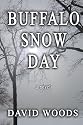 Buffalo Snow Day