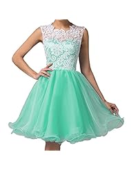 Short Draped Lace Organza Homecoming Dress/Party Dress 