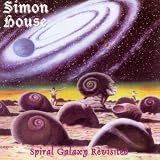 Spiral Galaxy Revisited