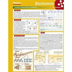 Lerntafel: Biochemie im �berblick (Lerntafeln Biologie)