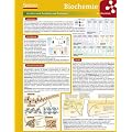 Lerntafel: Biochemie im �berblick (Lerntafeln Biologie)