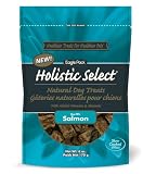 Holistic Select Salmon Recipe Natural Dog Treats, 6-Ounce Bag