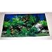Scenic 2-Sided Plastic Aquarium Poster Backing Case Pack 72