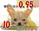 ペットの 湯たんぽ気分 角型