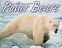 Polar Bears (Animal Predators)