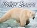 Polar Bears (Animal Predators) by Sandra Markle