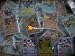 30 Pokemon Card Pack with LV.X, EX or Prime Card + a Collectors Tin Option Lot!!