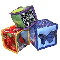 Baby Einstein Stack and Discover Blocks