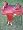 Western Reining Saddle, 17 inch