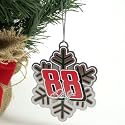 DALE EARNHARDT JR. OFFICIAL METAL SNOWFLAKE CHRISTMAS ORNAMENT