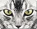 Kitchen & Housewares : SILVER TABBY CAT'S FACE Mouse Mat