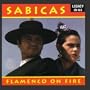 Flamenco On Fire