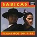 Flamenco On Fire [CD on Demand]