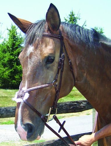 ProAm Fancy Raised Figure 8 Bridle
