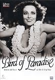 Bird Of Paradise