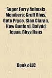 Super Furry Animals Members: Gruff Rhys, Guto Pryce, Cian Ciaran, Huw Bunford, Dafydd Ieuan, Rhys Ifans