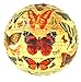 Paper Lantern - History of The Butterfly