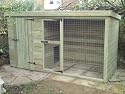 Quality Tanalised Dog Kennel and Run. No Maintenance Required