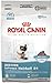 Royal Canin Feline Care Nutrition Hairball Care Adult Dry Cat Food, 3 lb Bag
