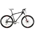 Serious Mountainbike Bear Peak (2011)