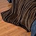 Bedsure GentleSoft Fleece Blanket Twin Size Brown - 300GSM Lightweight Plush Fuzzy Cozy Soft Warm Blanket for Bed, Sofa, Couch, Travel, Camping, 60x80 inches