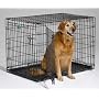 Midwest 1542DD iCrate 42-Inch L by 28-Inch W by 30-Inch H Double-Door Home Training and Travel Series