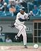 Harold Baines Autographed Photograph - Chicago White Sox Signed 8x10 Picture