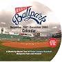 Take Me Out to the Ballpark 2008 Wall Calendar