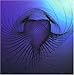 Age of Aquarius