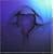 Age of Aquarius