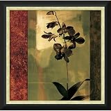 Mesmerized II Framed Canvas Art by Chris Donovan