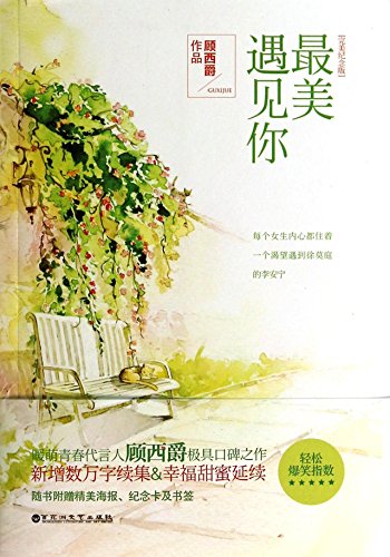 meeting you in my beautiful years chinese edition