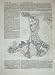 1875 Engineering Drawing Mouth Mississippi River Plan