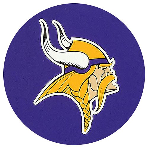 Minnesota Vikings Coaster (Set of 4)