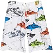 Charlie Rocket Boys 8-20 Multi Shark Swim Short