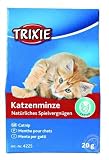 Trixie Katzenminze